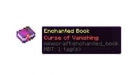 Curse of Vanishing can be maddening when it's applied to valuable items (Image via Mojang)